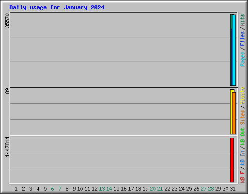 Daily usage for January 2024