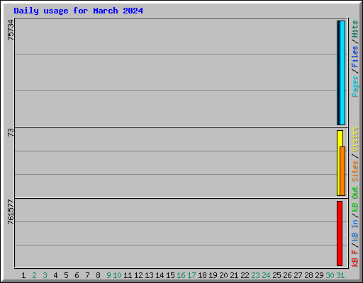 Daily usage for March 2024