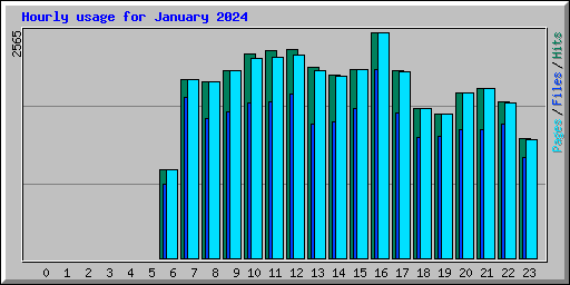 Hourly usage for January 2024