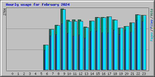 Hourly usage for February 2024