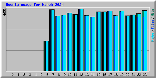 Hourly usage for March 2024