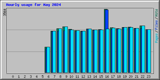 Hourly usage for May 2024