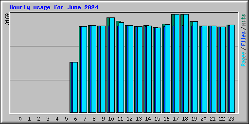 Hourly usage for June 2024