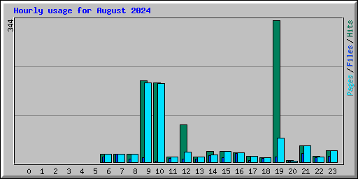 Hourly usage for August 2024