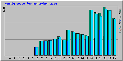 Hourly usage for September 2024