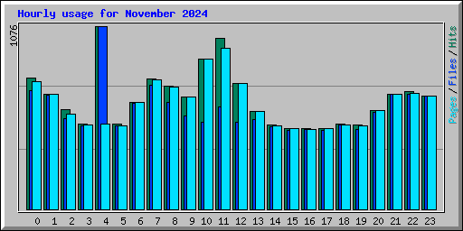 Hourly usage for November 2024